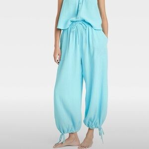 Target Women's Light Blue Pants